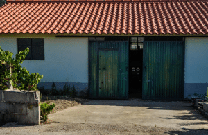 Read more about the article Concrete Lifting for Sidewalks and Driveways: Safety Matters
