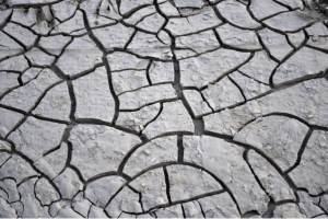 Read more about the article 4 Common Signs of Foundation Problems